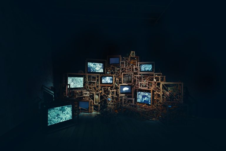 Installation view of ‘Trash Stratum’ (2024), as part of ‘Seeing Forest’ at the Singapore Pavilion at Biennale Arte 2024. Courtesy of Robert Zhao Renhui.