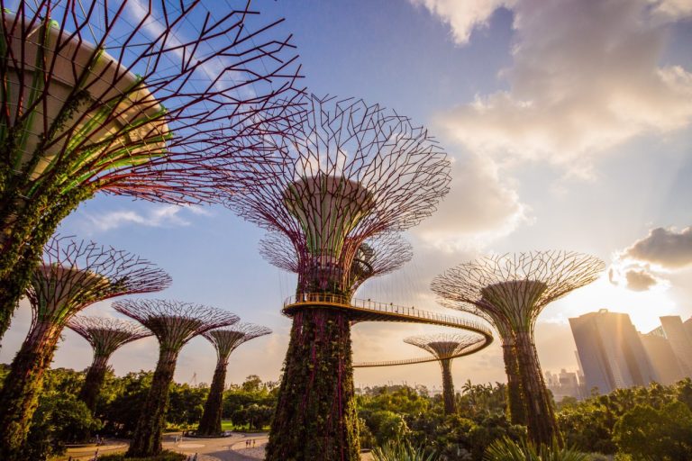 Gardens by the Bay