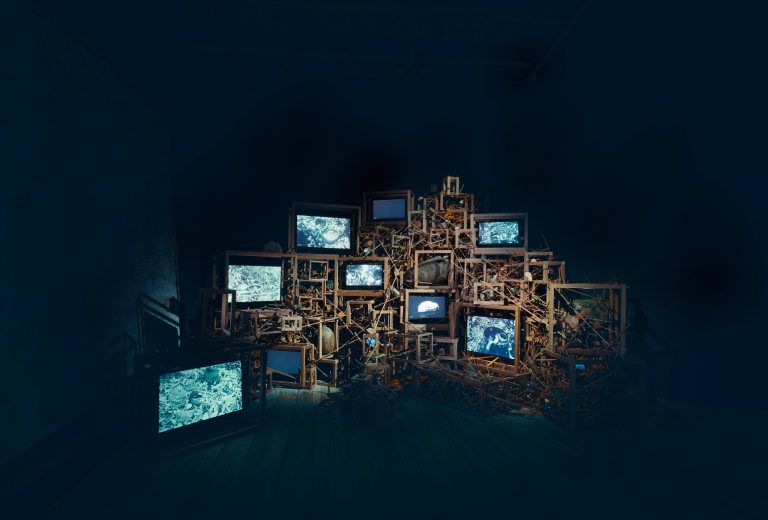 Installation view of ‘Trash Stratum’ (2024), as part of ‘Seeing Forest’ at the Singapore Pavilion at Biennale Arte 2024. Courtesy of Robert Zhao Renhui.