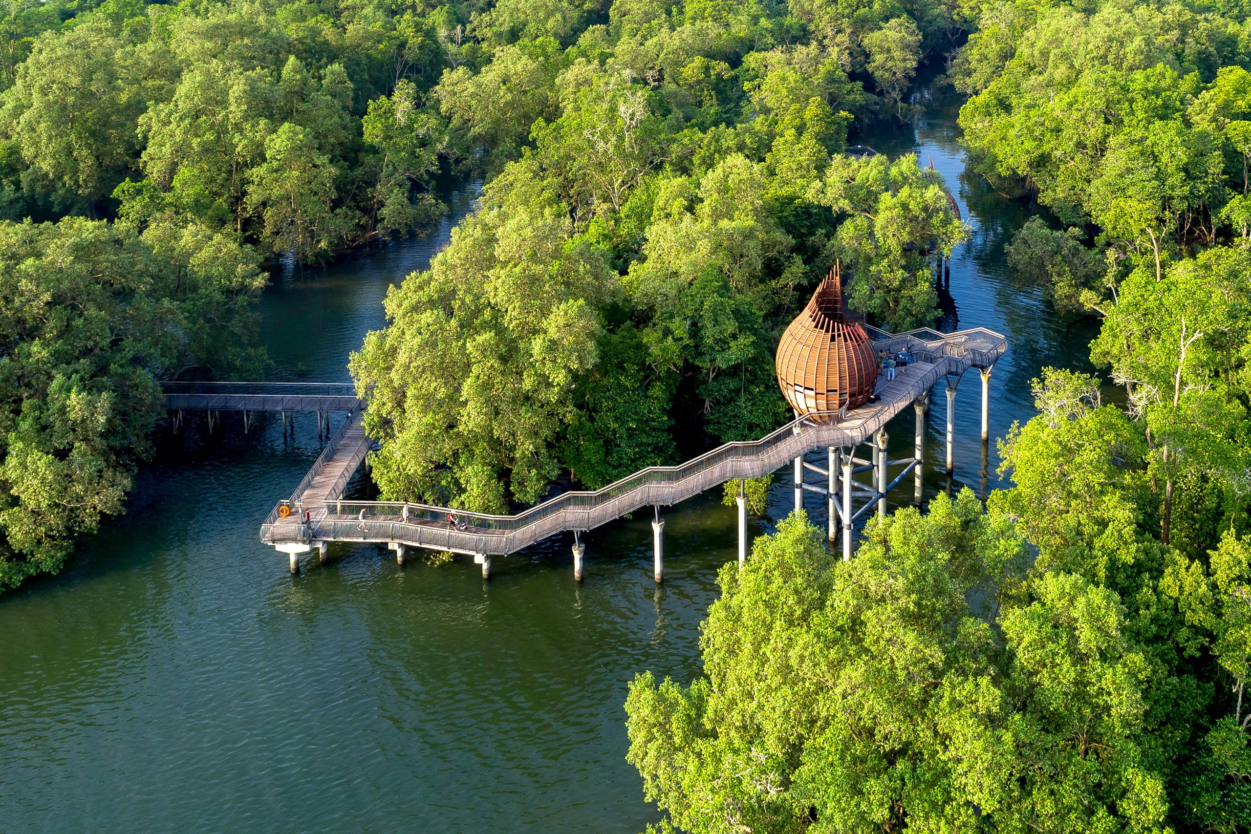 Sungei Buloh Wetland Reserve, Singapore. Image Courtesy of Singapore Tourism Board.